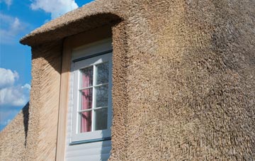 Shield Row thatch roof disadvantages